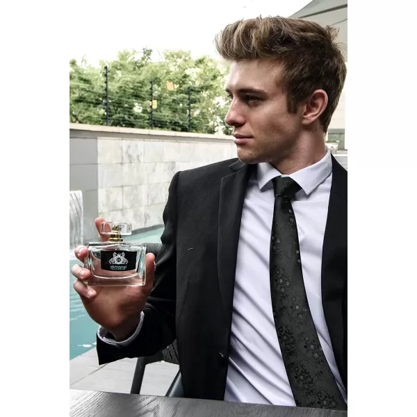 HISDERN Men Floral Ties Woven Classic 3.4" Necktie Set Formal tie Pocket Square for Wedding with Handkerchief Gift Box