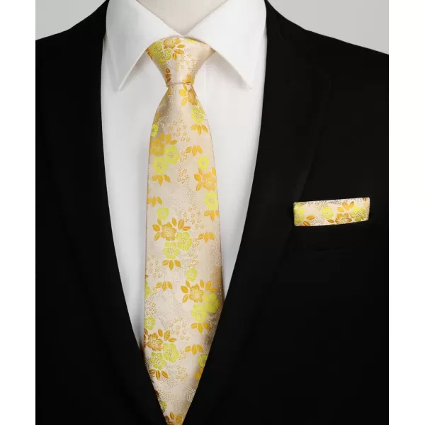 HISDERN Men Floral Ties Woven Classic 3.4" Necktie Set Formal tie Pocket Square for Wedding with Handkerchief Gift Box