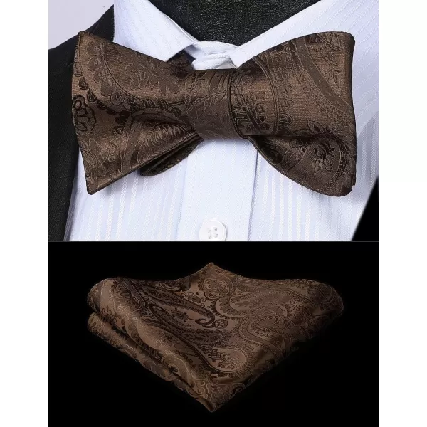 HISDERN Mens Bow Ties Floral Paisley Self Bow Ties for Men Formal Woven Silk Pocket Square Set with Gift Box for wedding