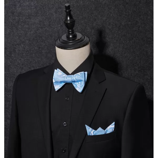 HISDERN Mens Bow Ties Floral Paisley Self Bow Ties for Men Formal Woven Silk Pocket Square Set with Gift Box for wedding