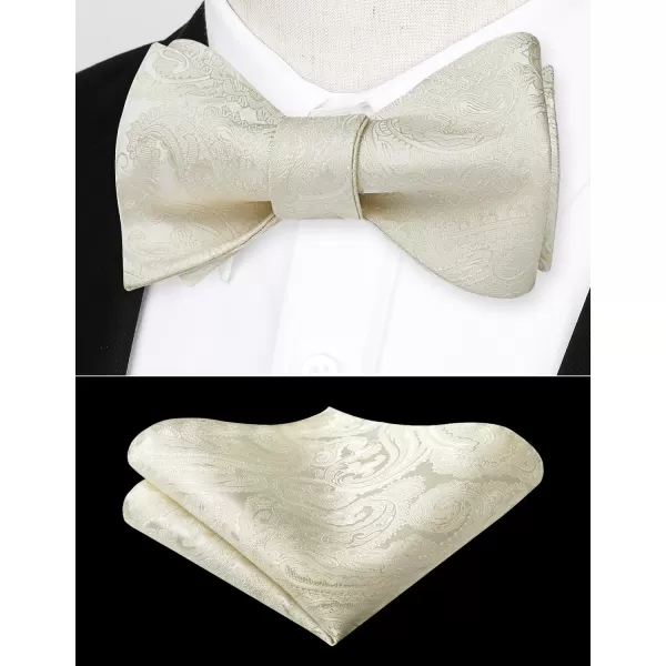 HISDERN Mens Bow Ties Floral Paisley Self Bow Ties for Men Formal Woven Silk Pocket Square Set with Gift Box for wedding