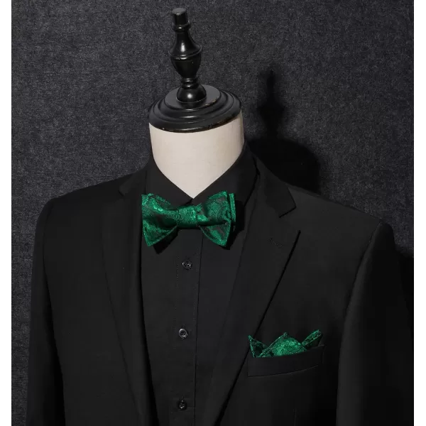 HISDERN Mens Bow Ties Floral Paisley Self Bow Ties for Men Formal Woven Silk Pocket Square Set with Gift Box for wedding