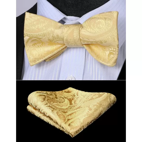 HISDERN Mens Bow Ties Floral Paisley Self Bow Ties for Men Formal Woven Silk Pocket Square Set with Gift Box for wedding