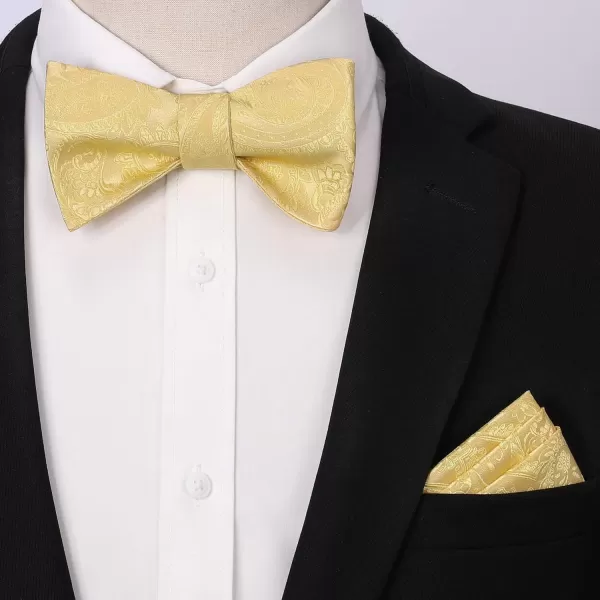 HISDERN Mens Bow Ties Floral Paisley Self Bow Ties for Men Formal Woven Silk Pocket Square Set with Gift Box for wedding
