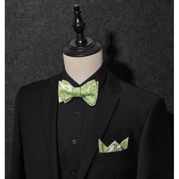 HISDERN Mens Bow Ties Floral Paisley Self Bow Ties for Men Formal Woven Silk Pocket Square Set with Gift Box for wedding