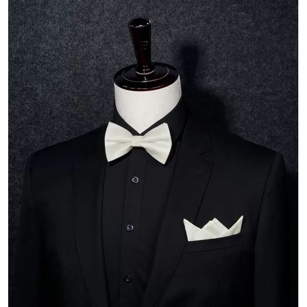 HISDERN Mens Pretied Bow Tie: Solid Color Tuxedo Bowtie and Pocket Square Set - Clip on Wedding Bow Ties for Men