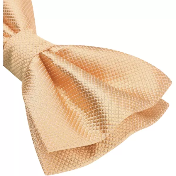 HISDERN Mens Pretied Bow Tie: Solid Color Tuxedo Bowtie and Pocket Square Set - Clip on Wedding Bow Ties for Men