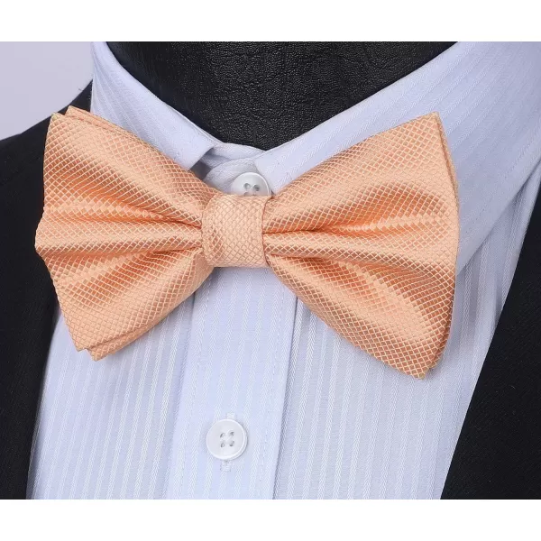 HISDERN Mens Pretied Bow Tie: Solid Color Tuxedo Bowtie and Pocket Square Set - Clip on Wedding Bow Ties for Men