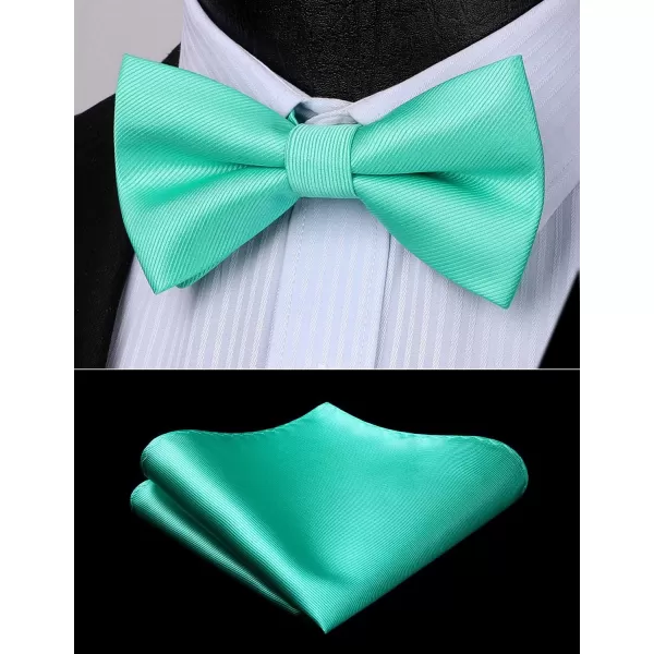 HISDERN Mens Pretied Bow Tie: Solid Color Tuxedo Bowtie and Pocket Square Set - Clip on Wedding Bow Ties for Men