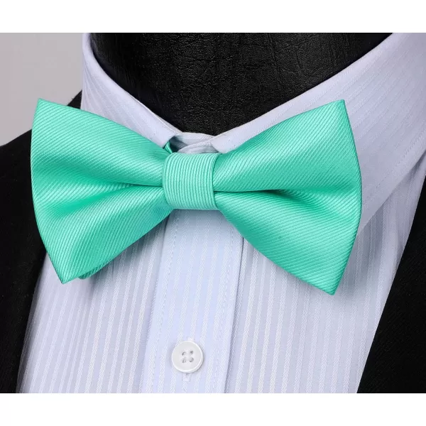 HISDERN Mens Pretied Bow Tie: Solid Color Tuxedo Bowtie and Pocket Square Set - Clip on Wedding Bow Ties for Men