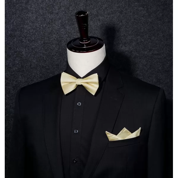HISDERN Mens Pretied Bow Tie: Solid Color Tuxedo Bowtie and Pocket Square Set - Clip on Wedding Bow Ties for Men