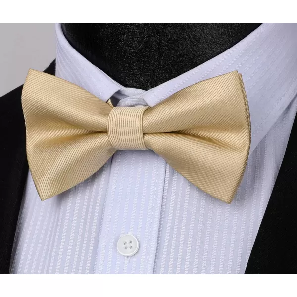 HISDERN Mens Pretied Bow Tie: Solid Color Tuxedo Bowtie and Pocket Square Set - Clip on Wedding Bow Ties for Men