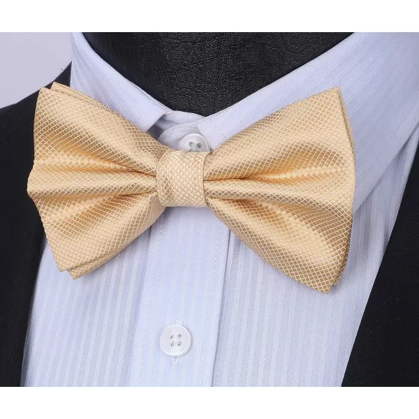 HISDERN Mens Pretied Bow Tie: Solid Color Tuxedo Bowtie and Pocket Square Set - Clip on Wedding Bow Ties for Men