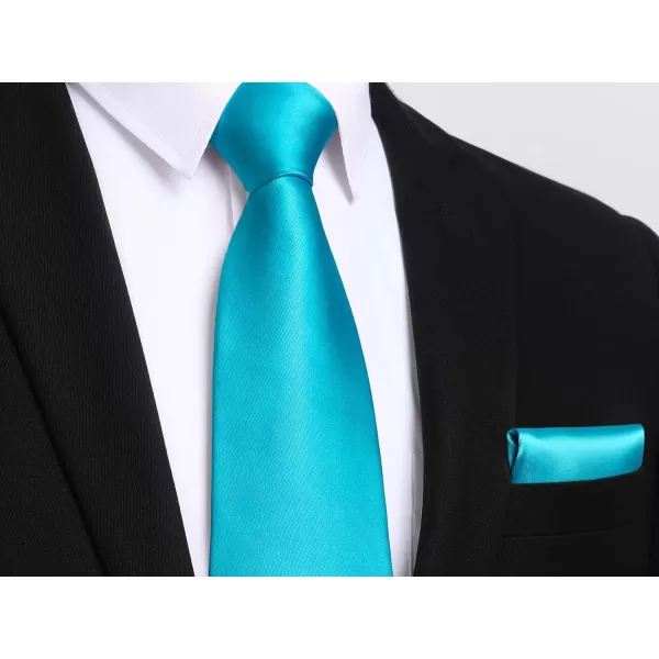 HISDERN Mens Solid Color Ties Formal Satin Necktie and Pocket Square Set Classic Wedding Business Tie &amp; Handkerchief