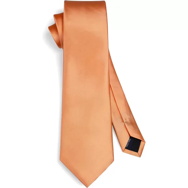 HISDERN Mens Solid Color Ties Formal Satin Necktie and Pocket Square Set Classic Wedding Business Tie &amp; Handkerchief