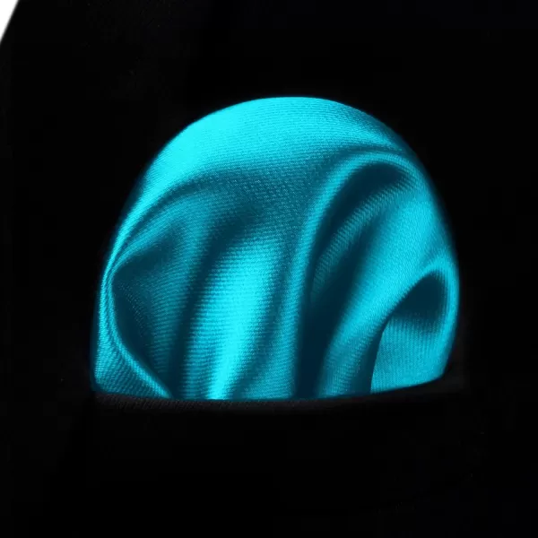 HISDERN Mens Solid Color Ties Formal Satin Necktie and Pocket Square Set Classic Wedding Business Tie &amp; Handkerchief