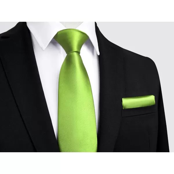 HISDERN Mens Solid Color Ties Formal Satin Necktie and Pocket Square Set Classic Wedding Business Tie &amp; Handkerchief