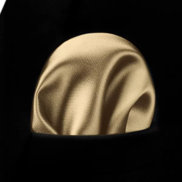 HISDERN Mens Solid Color Ties Formal Satin Necktie and Pocket Square Set Classic Wedding Business Tie &amp; Handkerchief