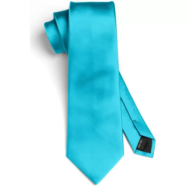 HISDERN Mens Solid Color Ties Formal Satin Necktie and Pocket Square Set Classic Wedding Business Tie &amp; Handkerchief
