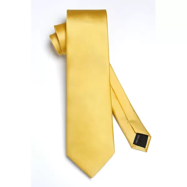 HISDERN Mens Solid Color Ties Formal Satin Necktie and Pocket Square Set Classic Wedding Business Tie &amp; Handkerchief