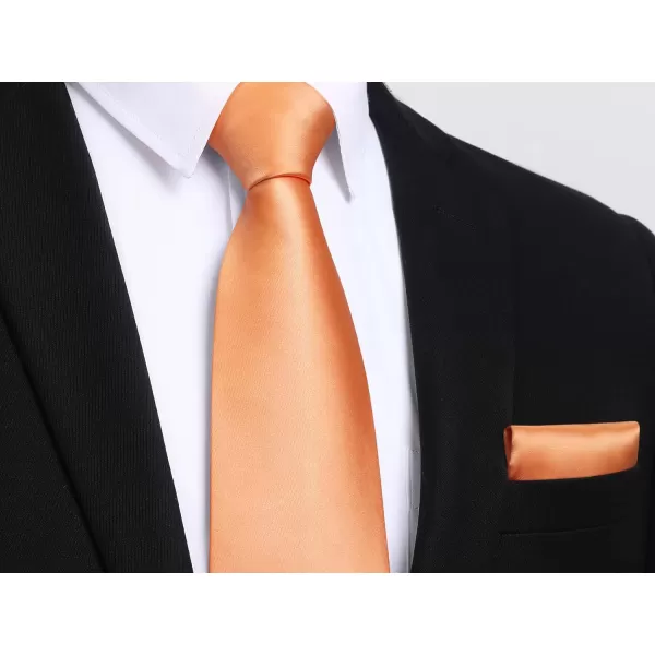 HISDERN Mens Solid Color Ties Formal Satin Necktie and Pocket Square Set Classic Wedding Business Tie &amp; Handkerchief