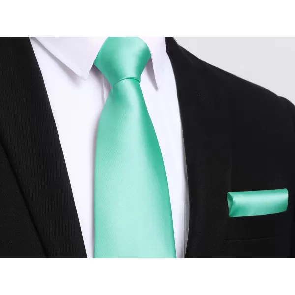 HISDERN Mens Solid Color Ties Formal Satin Necktie and Pocket Square Set Classic Wedding Business Tie &amp; Handkerchief