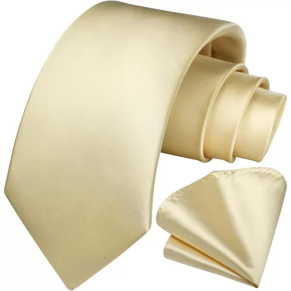 HISDERN Mens Solid Color Ties Formal Satin Necktie and Pocket Square Set Classic Wedding Business Tie &amp; Handkerchief