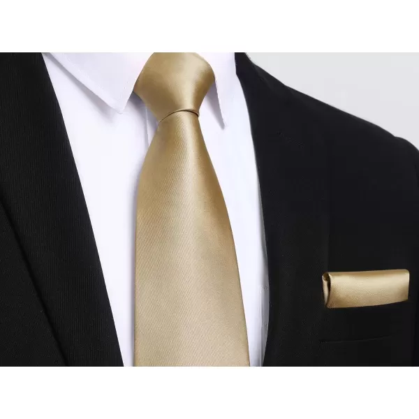 HISDERN Mens Solid Color Ties Formal Satin Necktie and Pocket Square Set Classic Wedding Business Tie &amp; Handkerchief