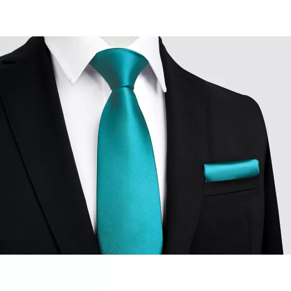 HISDERN Mens Solid Color Ties Formal Satin Necktie and Pocket Square Set Classic Wedding Business Tie &amp; Handkerchief