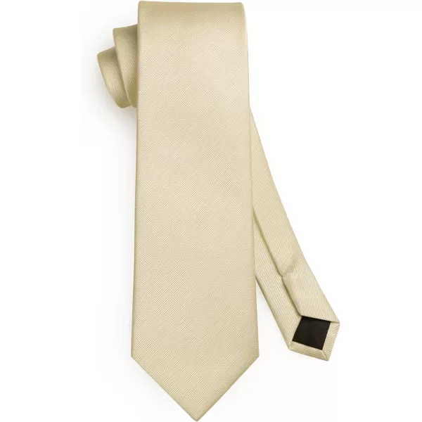 HISDERN Mens Ties Handkerchief Solid Color Ties for Men Necktie with Pocket Square Set for Classic Wedding