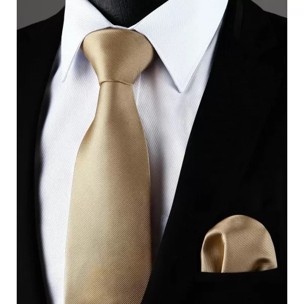 HISDERN Mens Ties Handkerchief Solid Color Ties for Men Necktie with Pocket Square Set for Classic Wedding