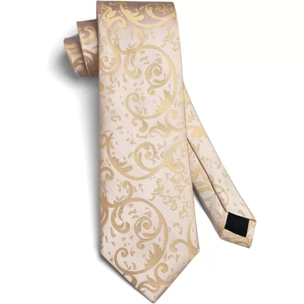 HISDERN Mens Ties Paisley Tie and Pocket Square Woven Classic Floral Mens Necktie Handkerchief Set for Wedding Party