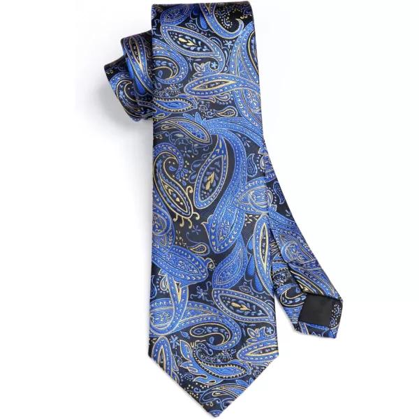 HISDERN Mens Ties Paisley Tie and Pocket Square Woven Classic Floral Mens Necktie Handkerchief Set for Wedding Party