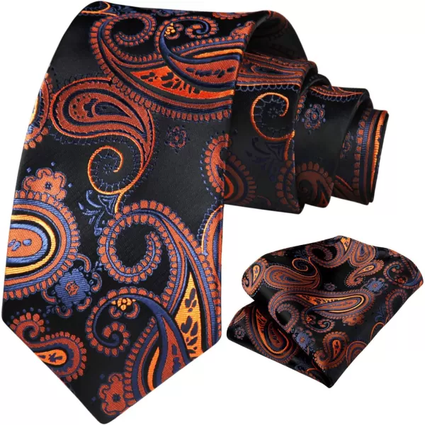 HISDERN Mens Ties Paisley Tie and Pocket Square Woven Classic Floral Mens Necktie Handkerchief Set for Wedding Party