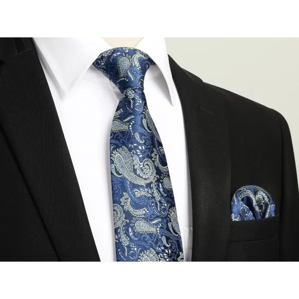HISDERN Mens Ties Paisley Tie and Pocket Square Woven Classic Floral Mens Necktie Handkerchief Set for Wedding Party