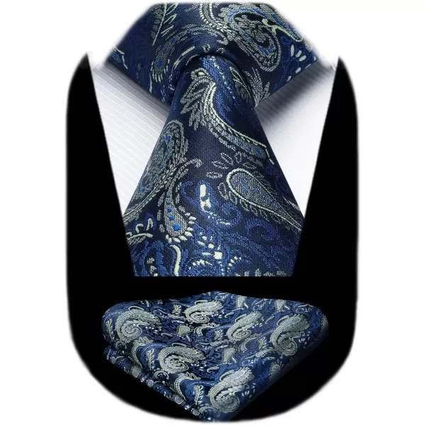 HISDERN Mens Ties Paisley Tie and Pocket Square Woven Classic Floral Mens Necktie Handkerchief Set for Wedding Party
