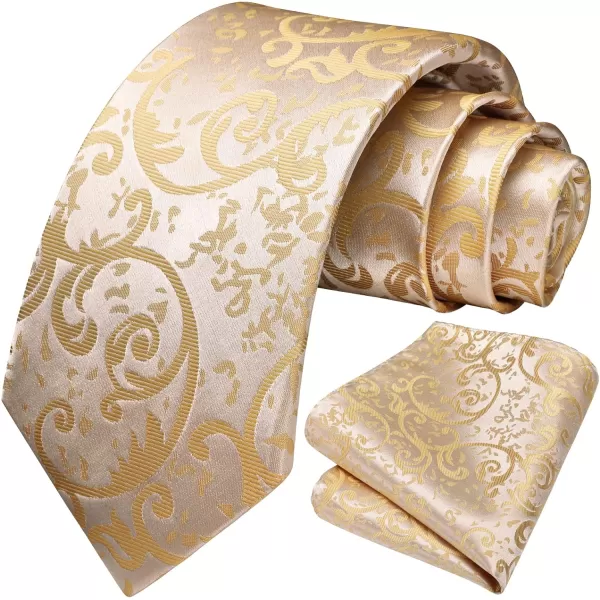 HISDERN Mens Ties Paisley Tie and Pocket Square Woven Classic Floral Mens Necktie Handkerchief Set for Wedding Party