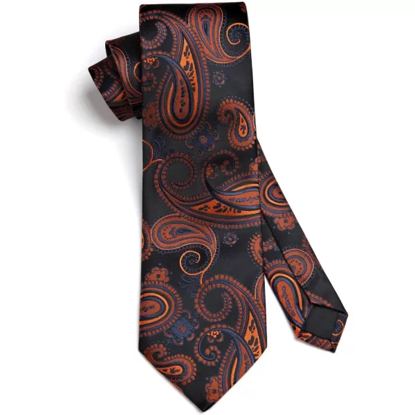 HISDERN Mens Ties Paisley Tie and Pocket Square Woven Classic Floral Mens Necktie Handkerchief Set for Wedding Party