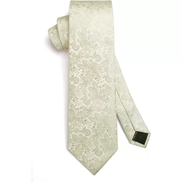HISDERN Mens Ties Paisley Tie and Pocket Square Woven Classic Floral Mens Necktie Handkerchief Set for Wedding Party