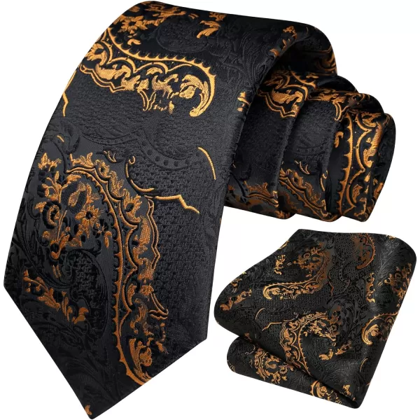 HISDERN Mens Ties Paisley Tie and Pocket Square Woven Classic Floral Mens Necktie Handkerchief Set for Wedding Party