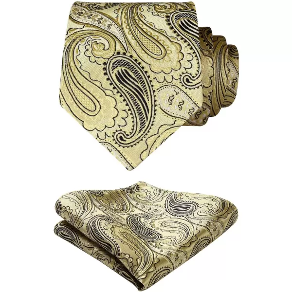 HISDERN Mens Ties Paisley Ties for Men Business Formal Woven Neckties and Pocket Square Cufflinks Set Wedding