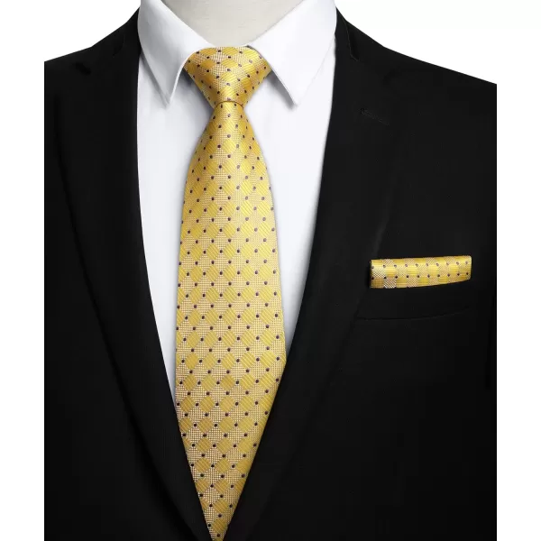 HISDERN Mens Ties Plaid Tie and Pocket Square Set Classic Woven Formal Checkered Neckties &amp; Handkerchief Wedding Party