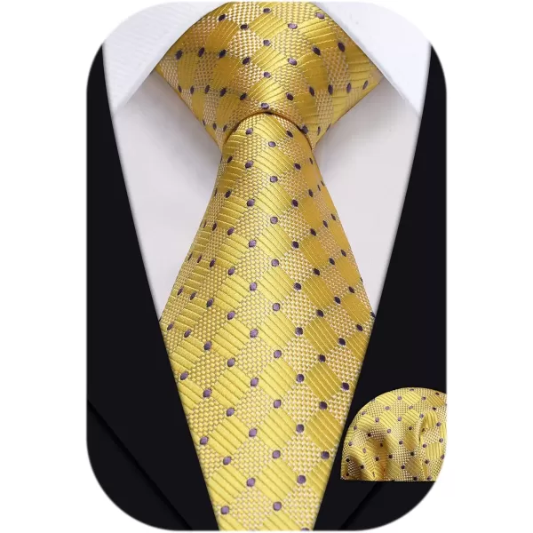 HISDERN Mens Ties Plaid Tie and Pocket Square Set Classic Woven Formal Checkered Neckties &amp; Handkerchief Wedding Party