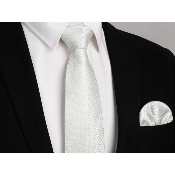 HISDERN Mens Ties Plaid Tie and Pocket Square Set Classic Woven Formal Checkered Neckties &amp; Handkerchief Wedding Party