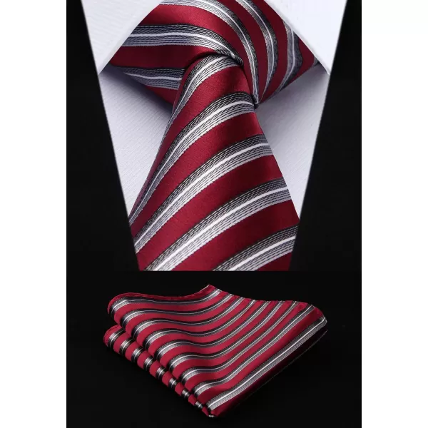 HISDERN Mens Ties Set 5PCS Collection Tie and Pocket Sqaure Formal Business Neckties Gift Box Wedding Necktie for Men