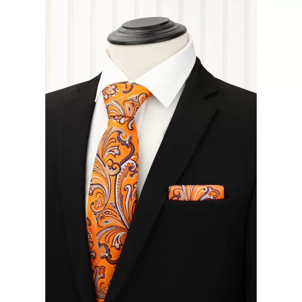 HISDERN Mens Ties Set 5PCS Collection Tie and Pocket Sqaure Formal Business Neckties Gift Box Wedding Necktie for Men