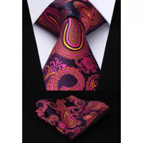 HISDERN Mens Ties Set 5PCS Collection Tie and Pocket Sqaure Formal Business Neckties Gift Box Wedding Necktie for Men