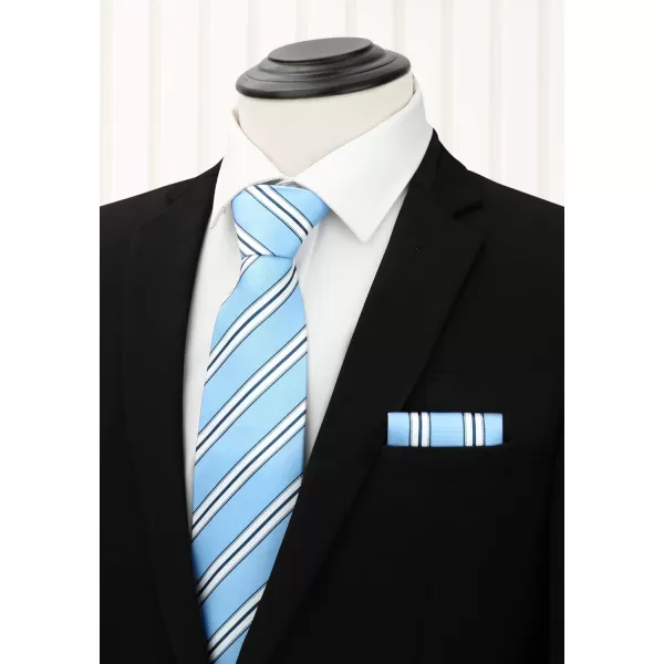 HISDERN Mens Ties Set 5PCS Collection Tie and Pocket Sqaure Formal Business Neckties Gift Box Wedding Necktie for Men