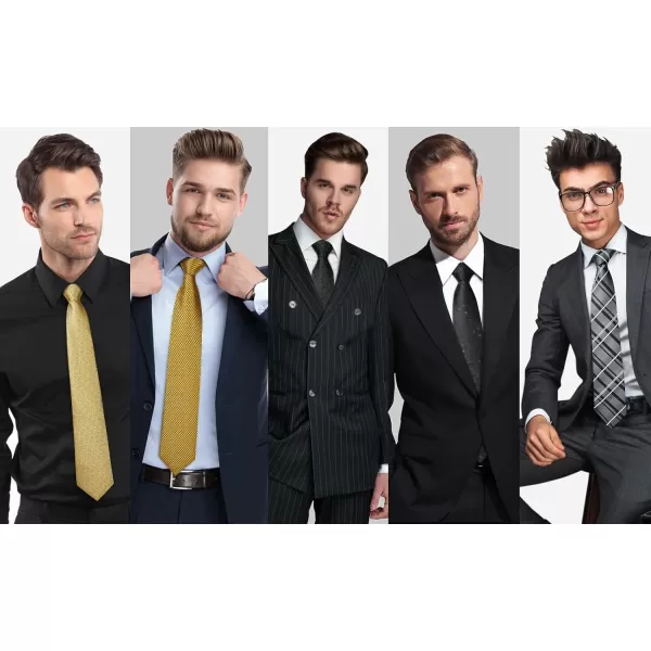 HISDERN Mens Ties Set 5PCS Collection Tie and Pocket Sqaure Formal Business Neckties Gift Box Wedding Necktie for Men