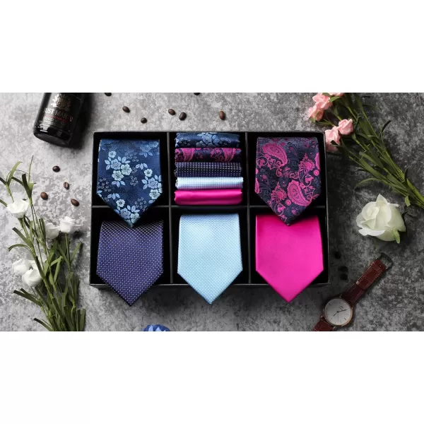 HISDERN Mens Ties Set 5PCS Collection Tie and Pocket Sqaure Formal Business Neckties Gift Box Wedding Necktie for Men